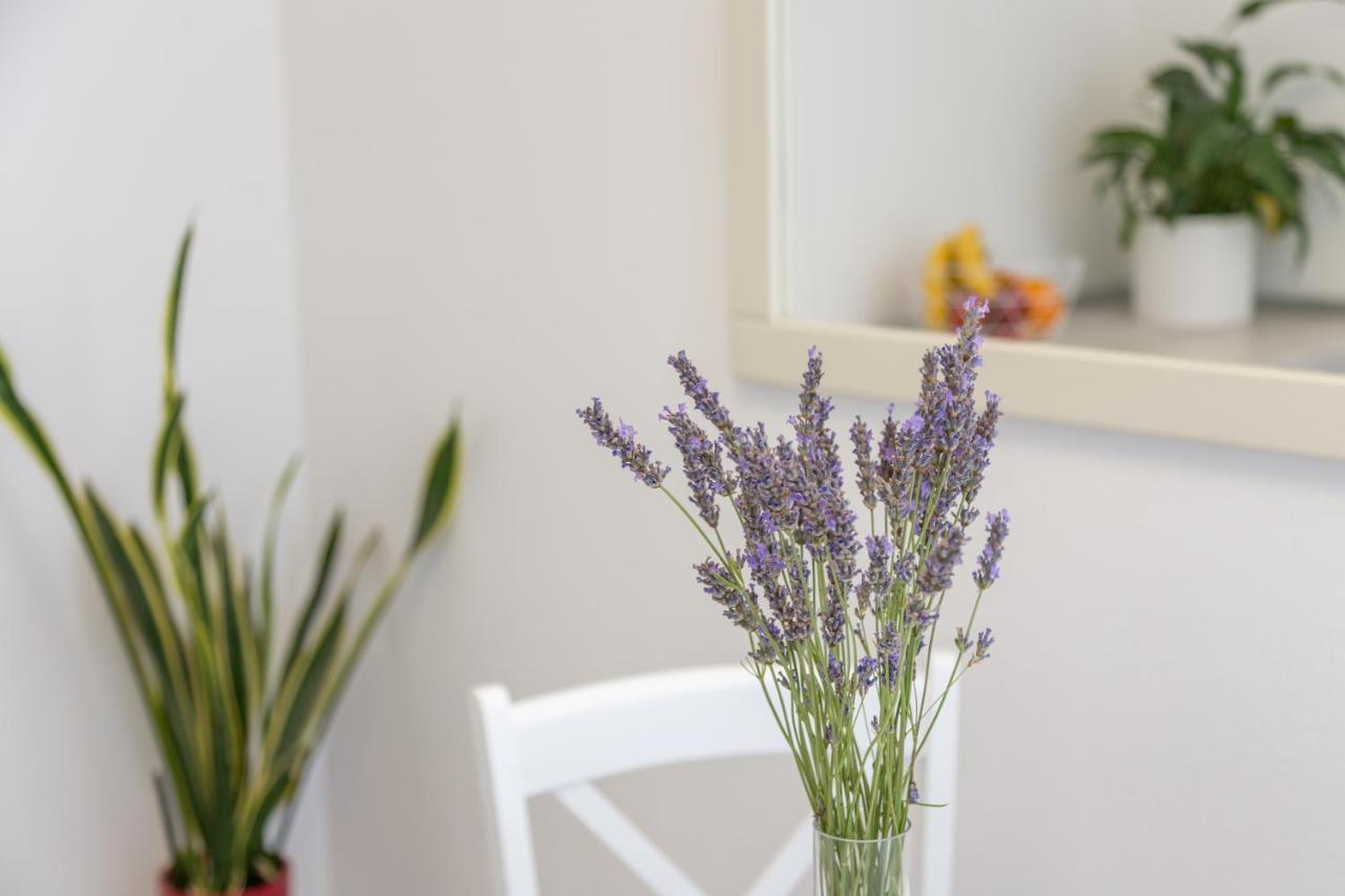 Petric Apartment